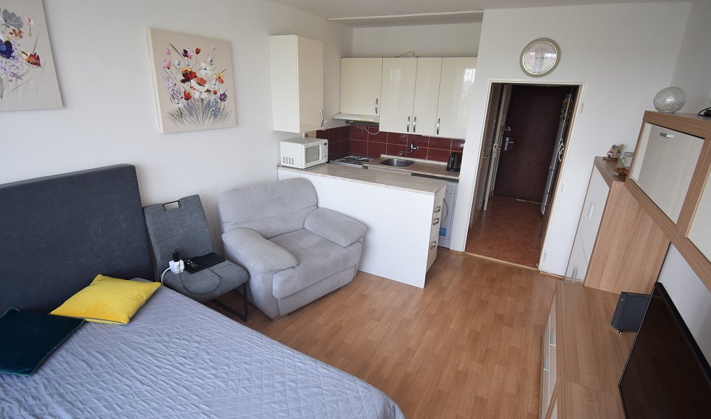 Prodej bytu 1+kk 24 m², Praha – náhled fotky 3