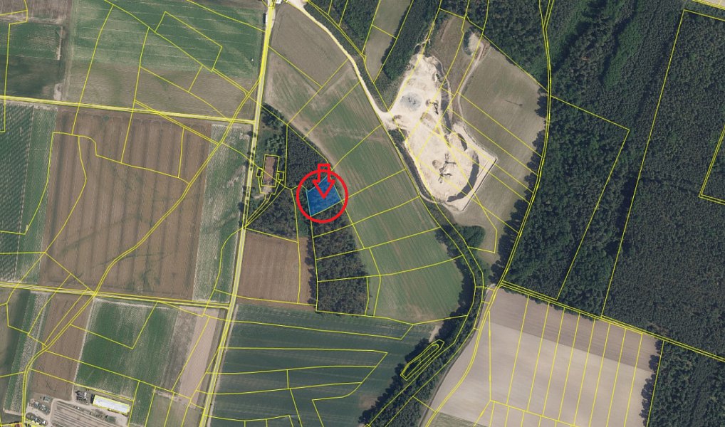 Prodej lesa 1 204 m², Sojovice – náhled fotky 3