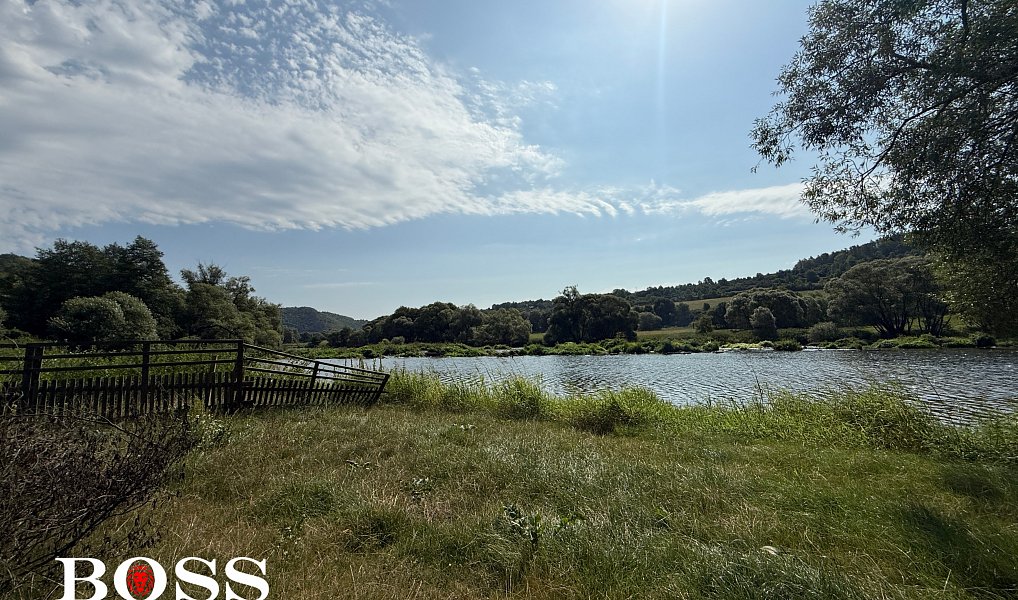 Prodej komerčního pozemku 15 862 m², Slabce – náhled fotky 16