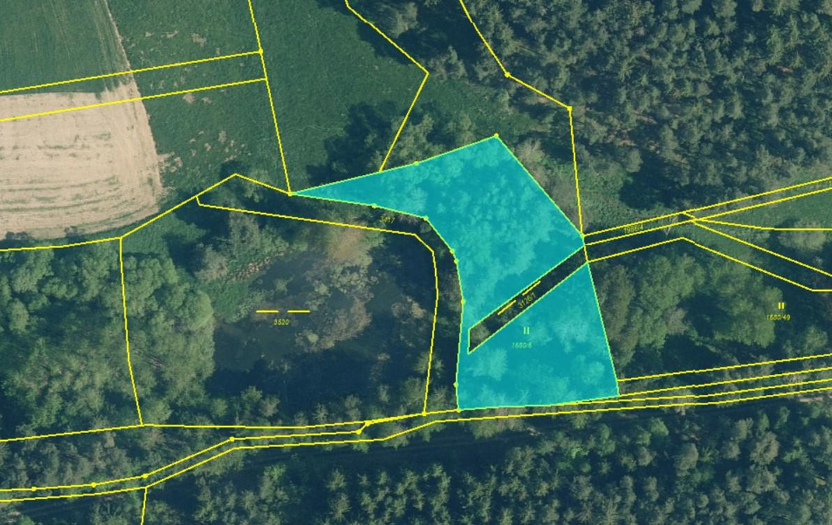Prodej louky 2 963 m²