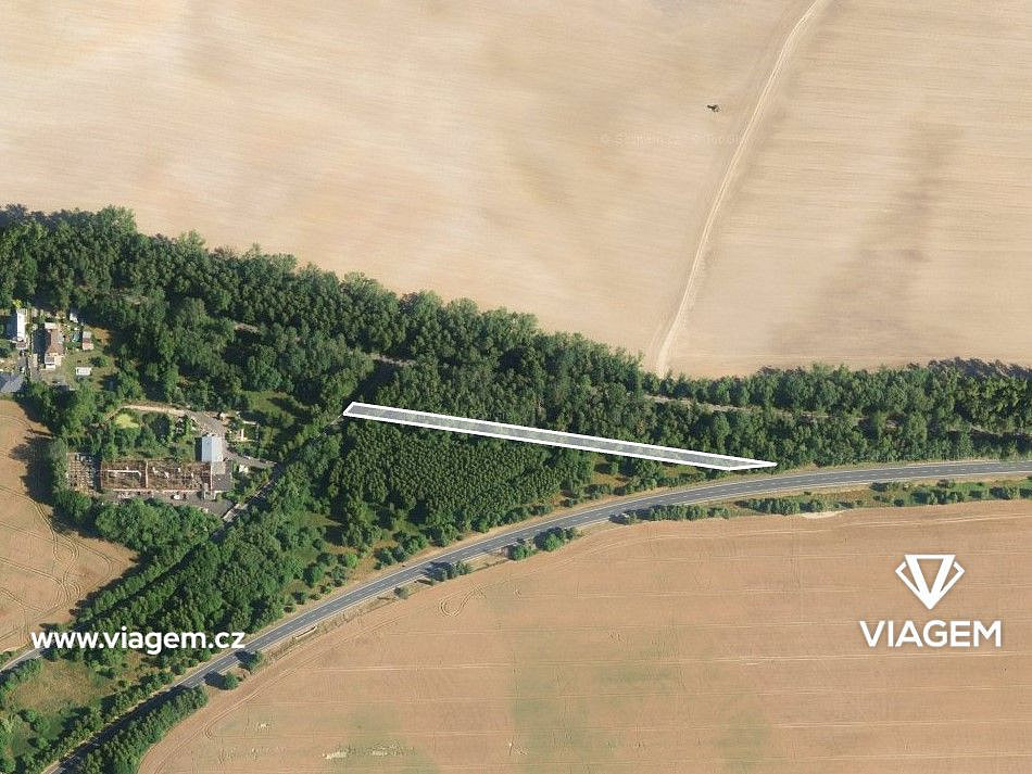 Prodej lesa 2 587 m² – fotografie 2