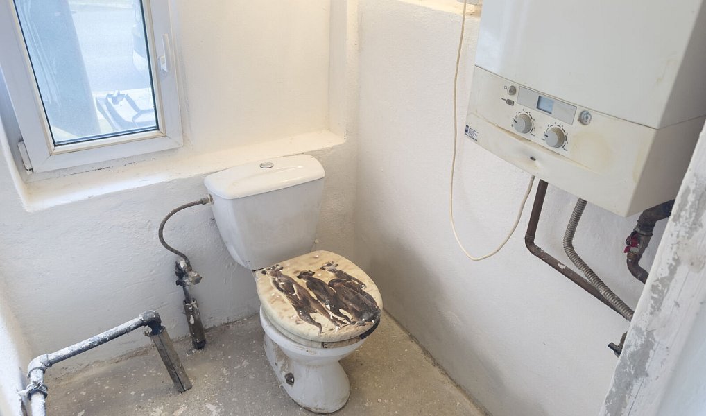 Prodej domu 100 m² s pozemkem 318 m², Dobříč – náhled fotky 14