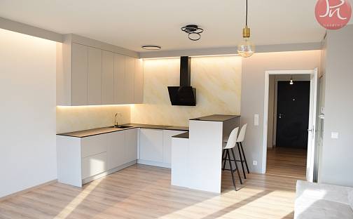 Pronájem bytu 1+kk 45 m², F. X. Riepla, Ostrava - Moravská Ostrava