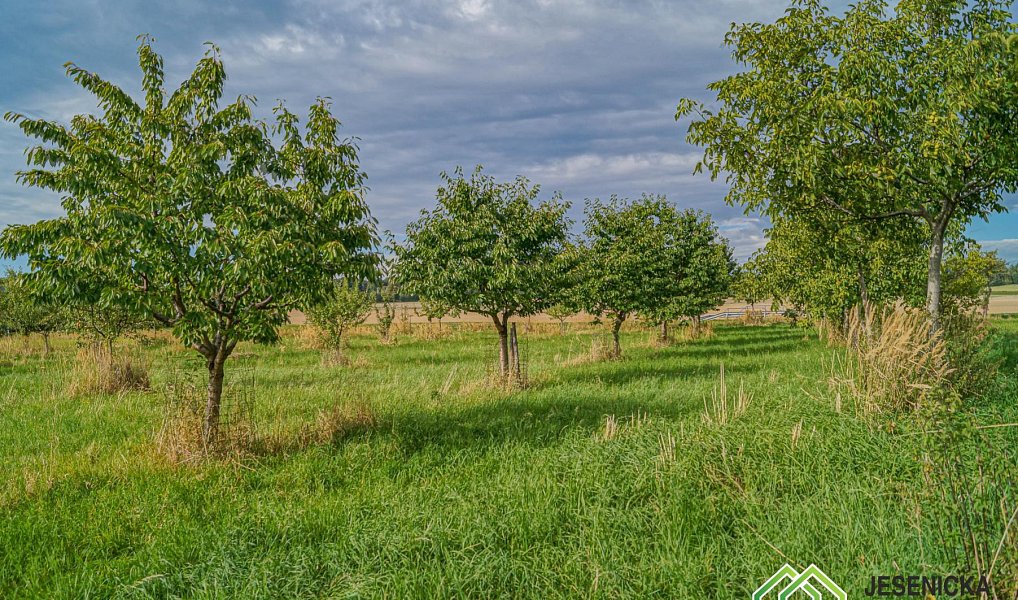 Prodej pole 16 809 m², Velké Kunětice – náhled fotky 13