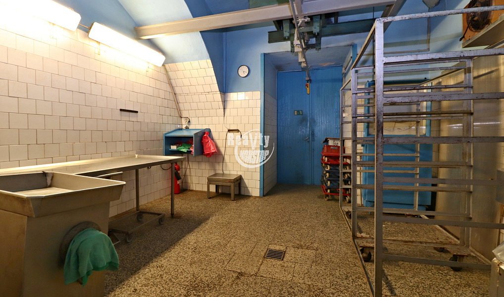 Prodej domu 432 m² s pozemkem 665 m², Brtnice – náhled fotky 13