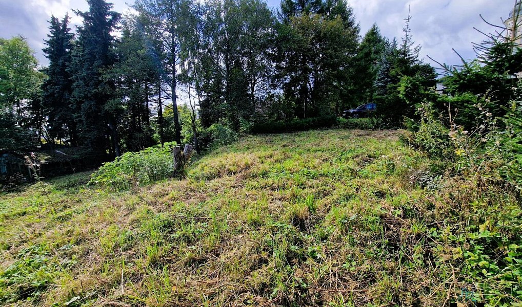 Prodej stavebního pozemku 926 m², Osek – náhled fotky 18