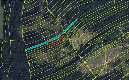Prodej lesa 33 528 m², Městečko Trnávka, okres Svitavy