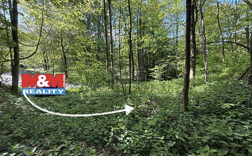 Prodej pozemku 424 m², Červená Voda - Horní Orlice, okres Ústí nad Orlicí