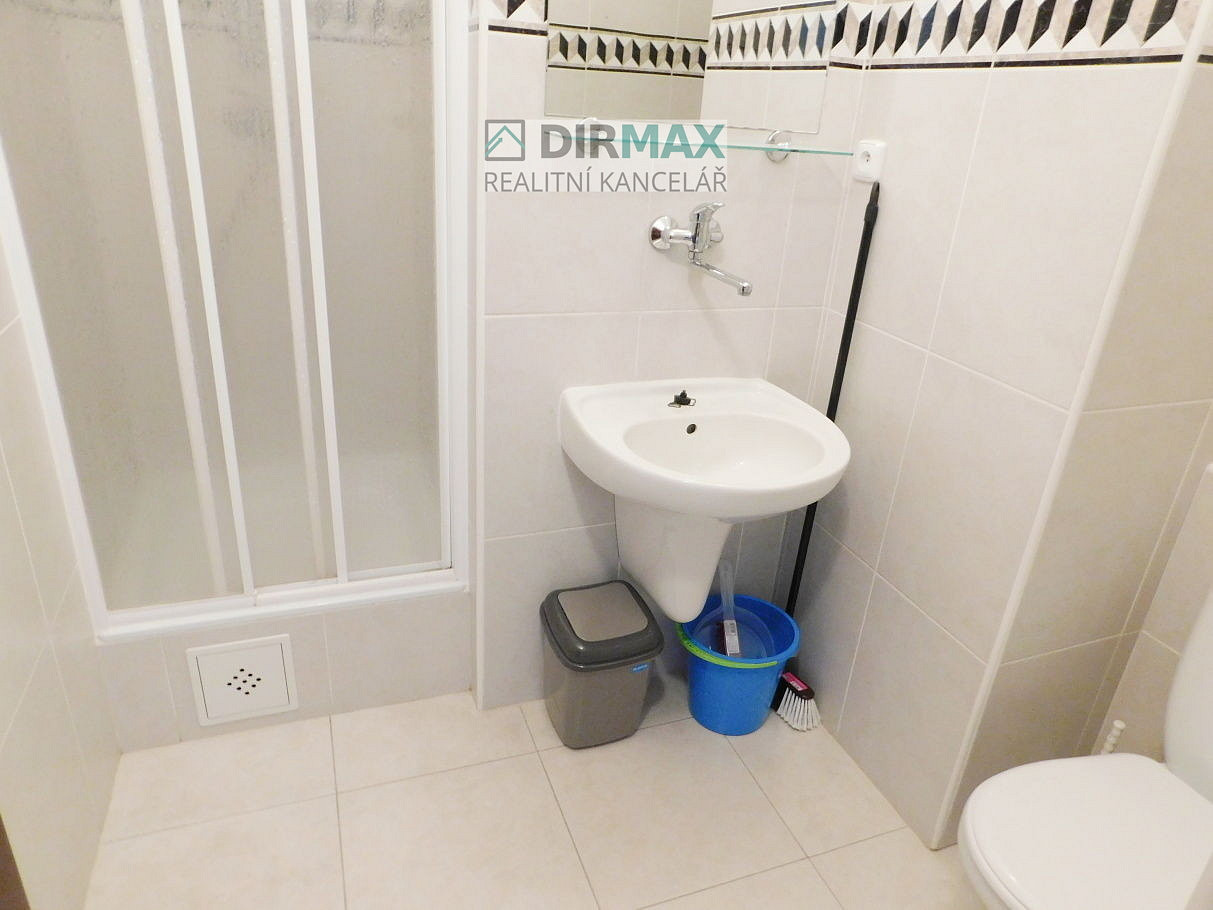 Pronájem bytu atypického 29 m² — photo 3