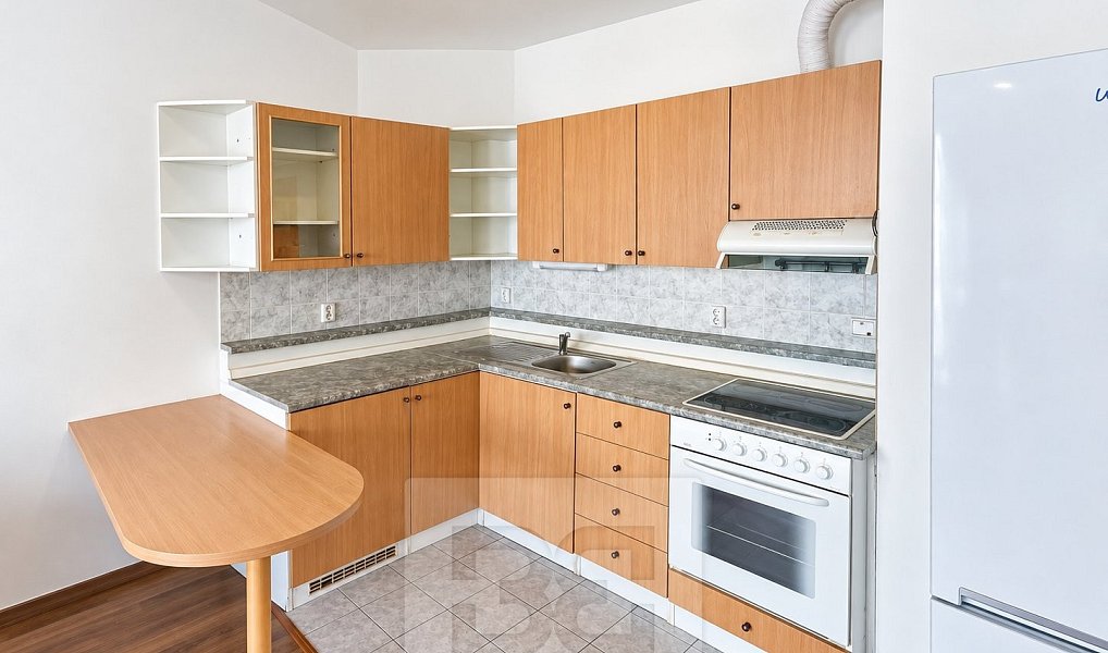 Pronájem bytu 1+kk 43 m², Praha – náhled fotky 4