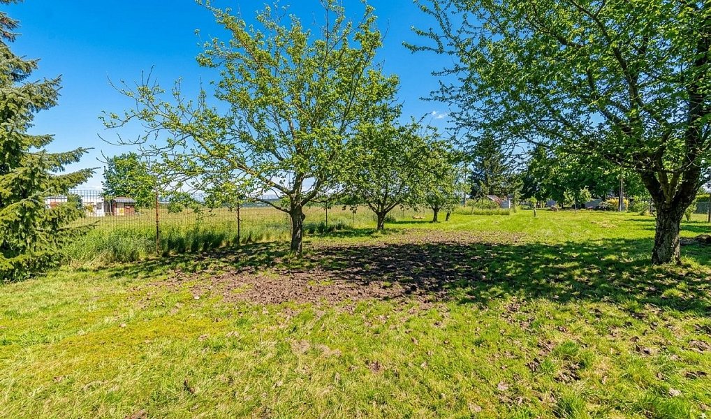 Prodej chaty/chalupy 30 m² s pozemkem 1 589 m², Prostějov – náhled fotky 13