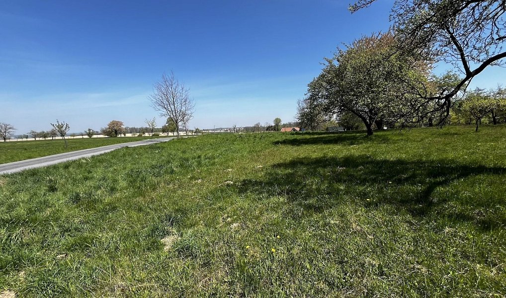 Pronájem pozemku 7 559 m², Horní Újezd – náhled fotky 10