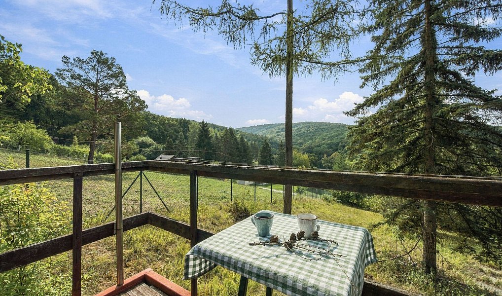 Prodej chaty/chalupy 75 m² s pozemkem 1 575 m², Radějov – náhled fotky 17
