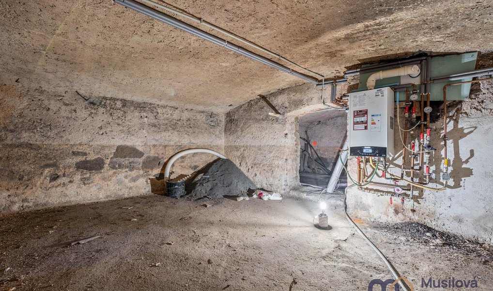 Prodej domu 210 m² s pozemkem 322 m², Novosedlice – náhled fotky 28