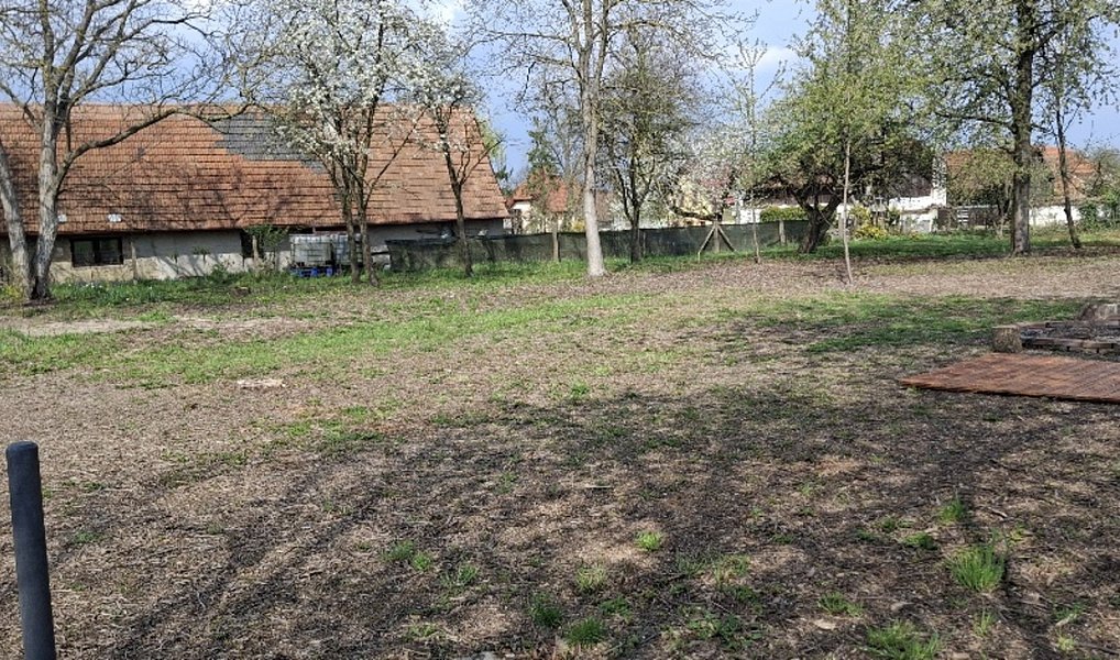 Prodej stavebního pozemku 2 666 m², Jenišovice – náhled fotky 5