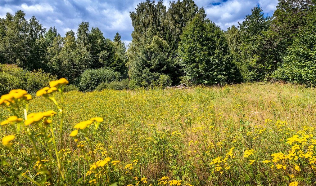 Prodej stavebního pozemku 1 122 m², Přední Výtoň – náhled fotky 14