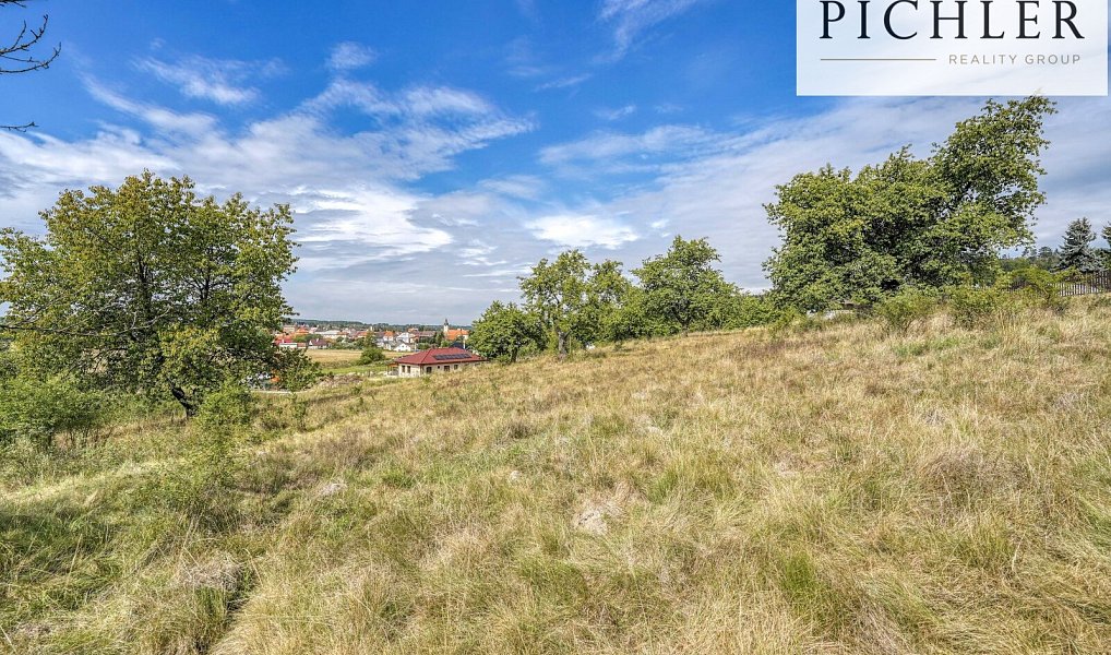 Prodej stavebního pozemku 10 447 m², Radnice – náhled fotky 24