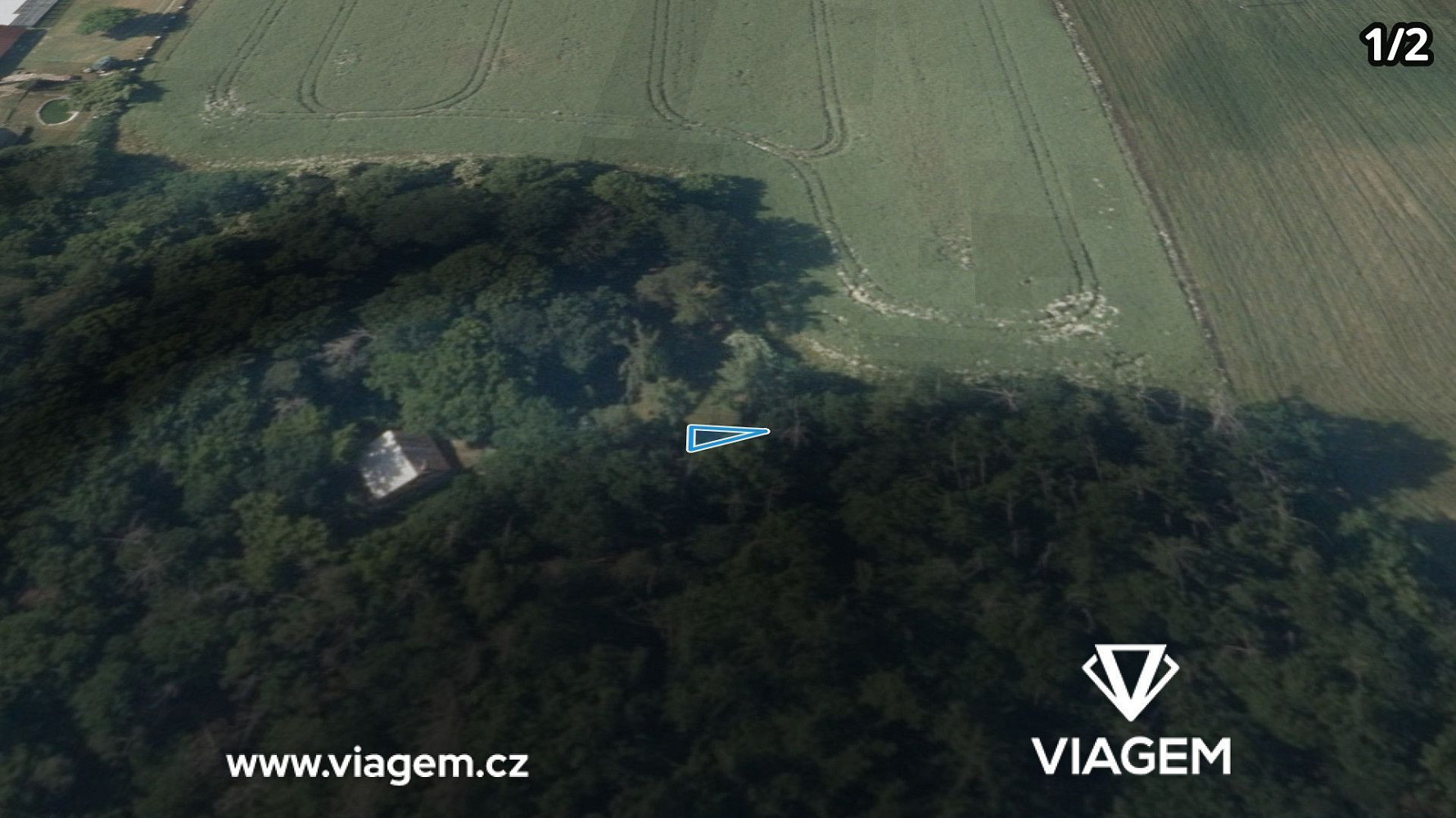 Prodej lesa 1 972 m² – fotografie 2