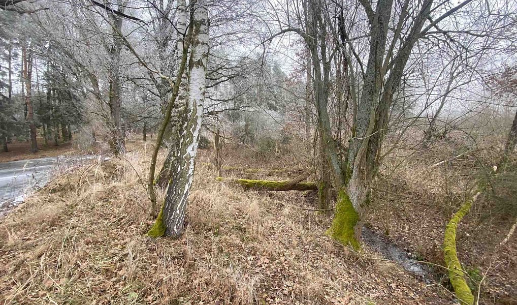 Prodej pole 13 059 m², Slatina – náhled fotky 14