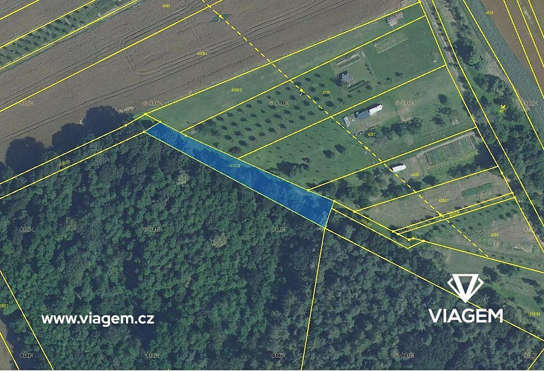 Prodej lesa 446 m² – fotografie 2