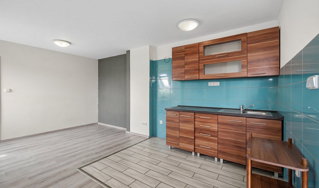 Prodej domu 328 m² s pozemkem 399 m², Hostomice – náhled fotky 12