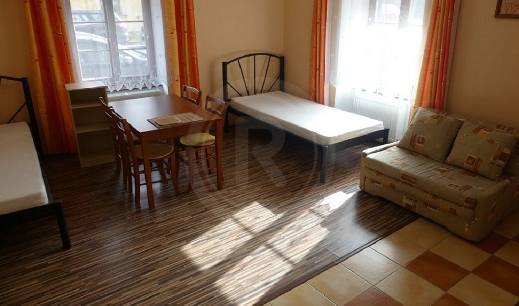 Prodej nájemního domu, činžáku 450 m², Pištín – náhled fotky 8