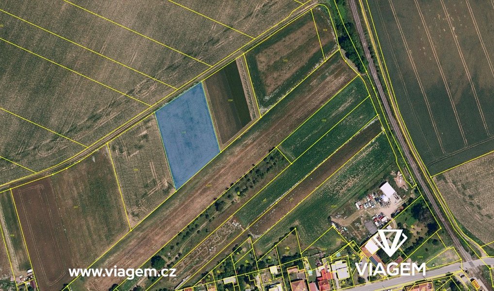 Prodej pole 3 961 m², Blížkovice – náhled fotky 4