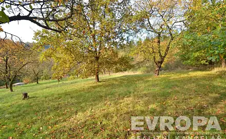 Prodej stavebního pozemku 2 320 m², Pečice - Pečičky, okres Příbram