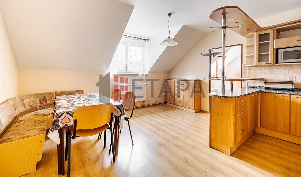 Prodej ubytovacího objektu 432 m², Ražice – náhled fotky 4
