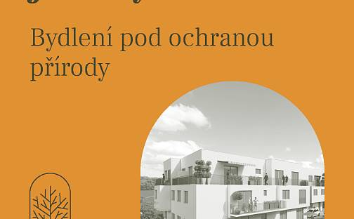 Dobříšský Remízek, Dobříš