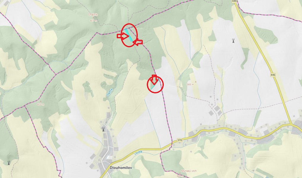 Prodej lesa 1 463 m², Dlouhomilov – náhled fotky 4
