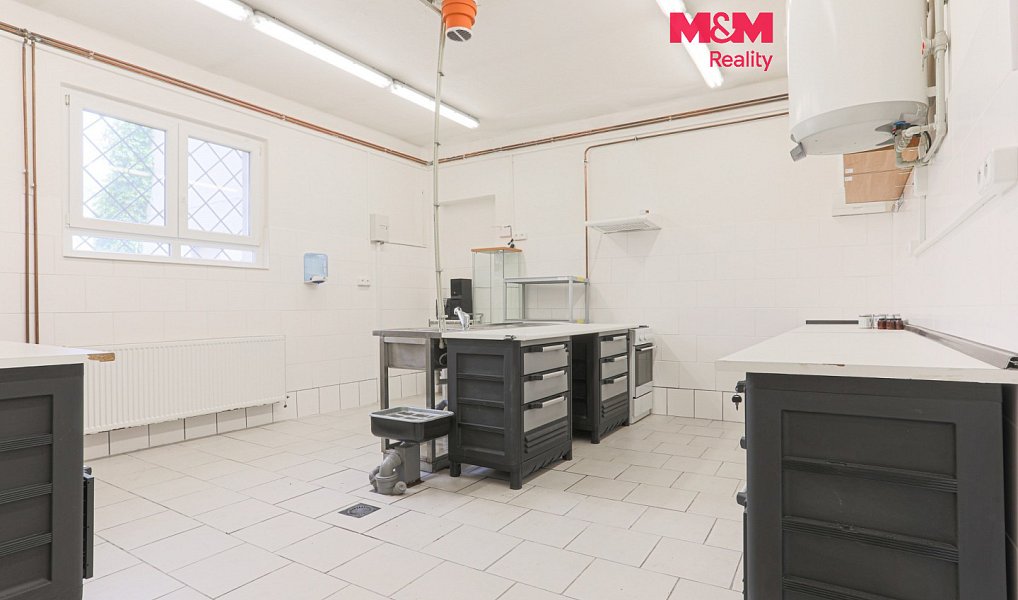 Pronájem komerčního prostoru, 73 m², Tašovice - Karlovy Vary, Karlovy Vary