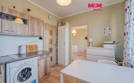 Pronájem bytu 1+1 32 m², Elišky Krásnohorské, Plzeň - Severní Předměstí