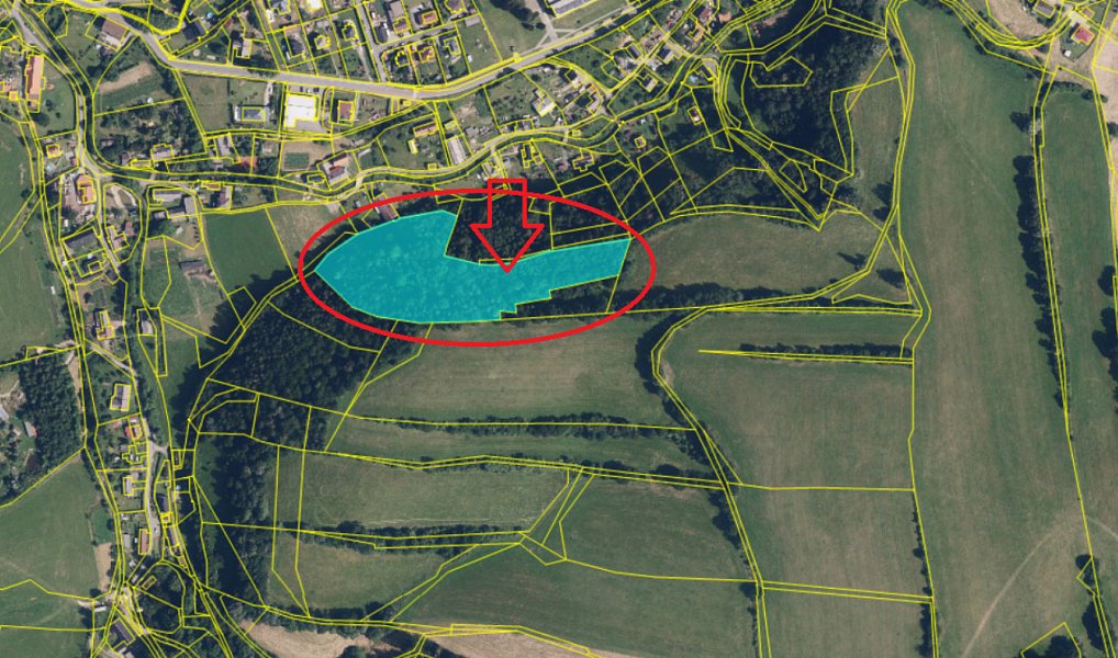 Prodej lesa 4 749 m², Hrabišín – náhled fotky 3