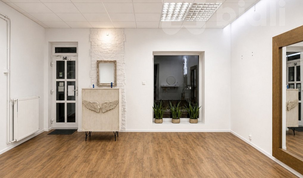 Prodej nájemního domu, činžáku 632 m², Ústí nad Labem – náhled fotky 4