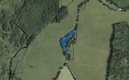 Prodej pozemku 8 040 m², Borová Lada, okres Prachatice