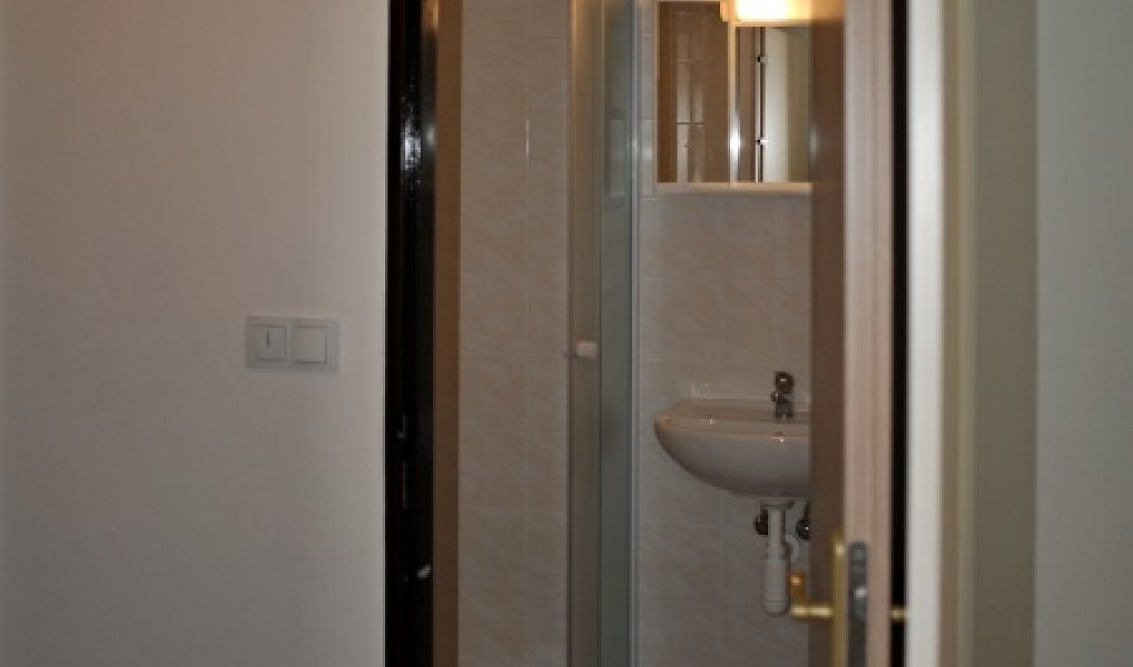 Pronájem bytu 1+kk 25 m², Olomouc – náhled fotky 5