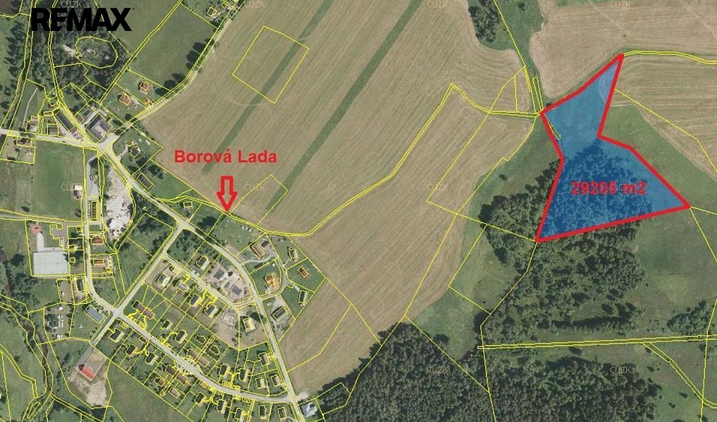 Prodej lesa 29 205 m², Borová Lada – náhled fotky 5