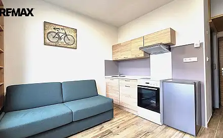 Pronájem bytu 1+kk 15 m², Náměstí Benedikta Rejta, Louny