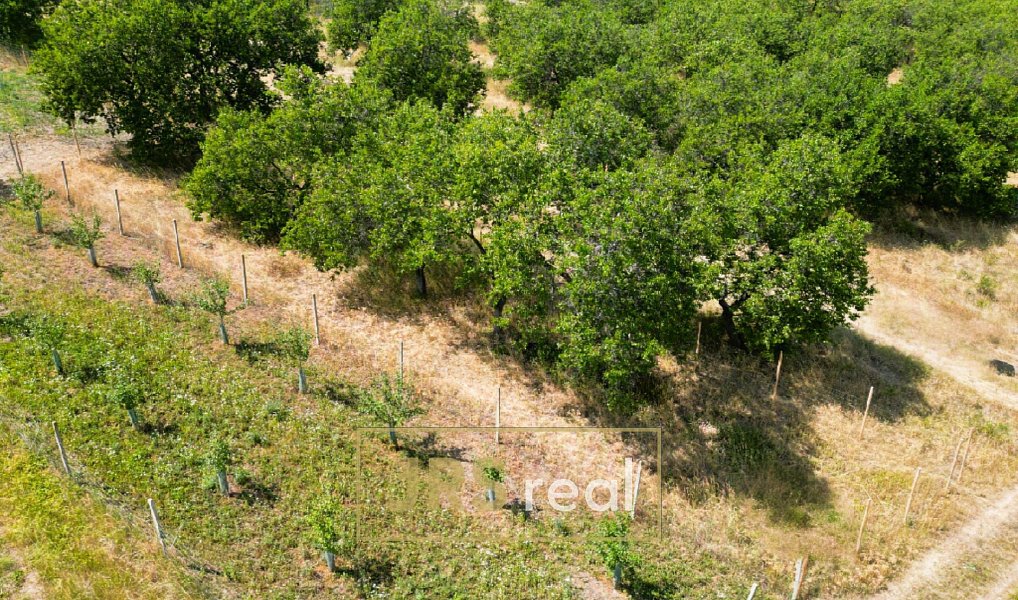 Prodej pole 358 m², Němčičky – náhled fotky 5