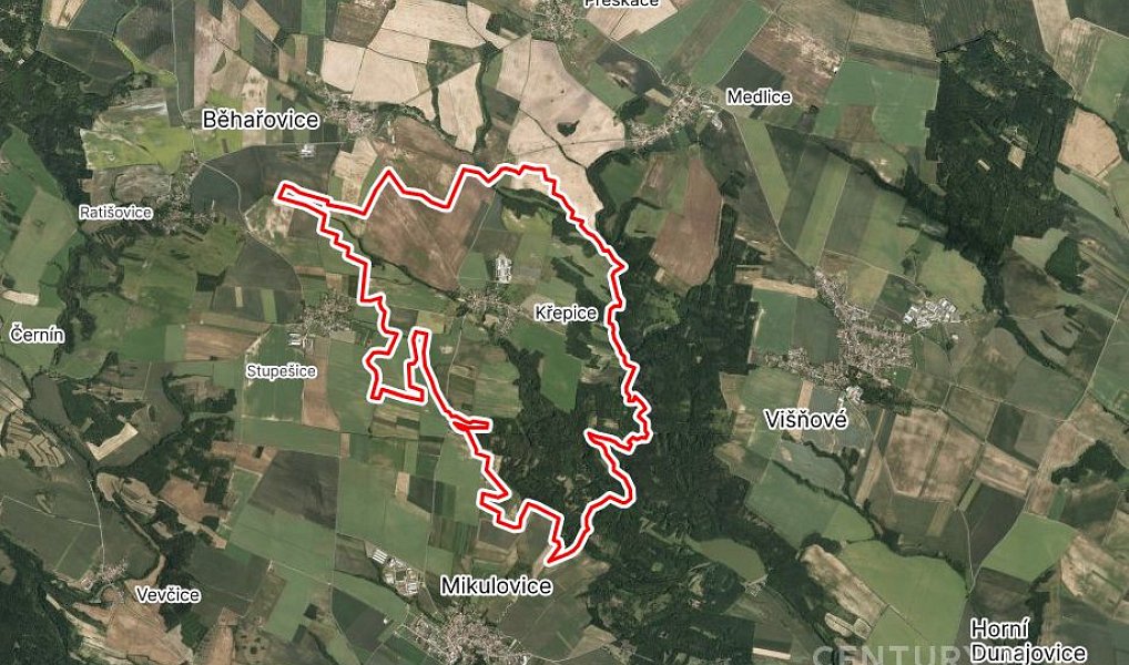 Prodej pole 7 215 m², Křepice – náhled fotky 5