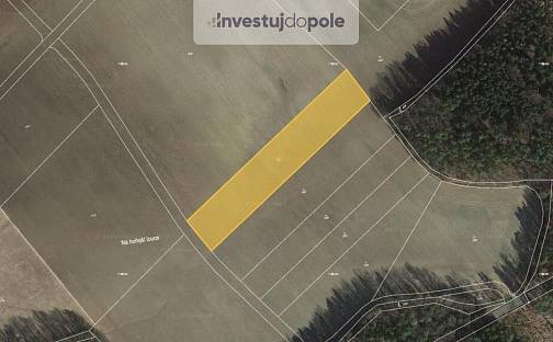 Prodej louky 7 448 m², Cheznovice, okres Rokycany