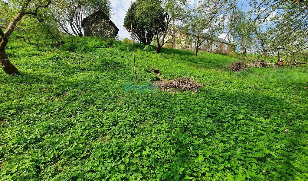 Prodej zahrady 1 714 m², Kosov – náhled fotky 6