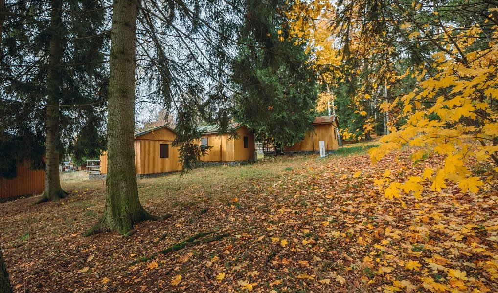 Prodej chaty/chalupy 21 m² s pozemkem 320 m², Seč – náhled fotky 18