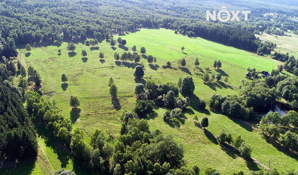 Prodej louky 68 906 m², Hora Svaté Kateřiny – náhled fotky 5
