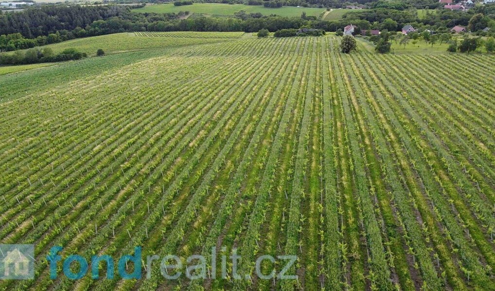Prodej pozemku 4 878 m², Újezdec – náhled fotky 4