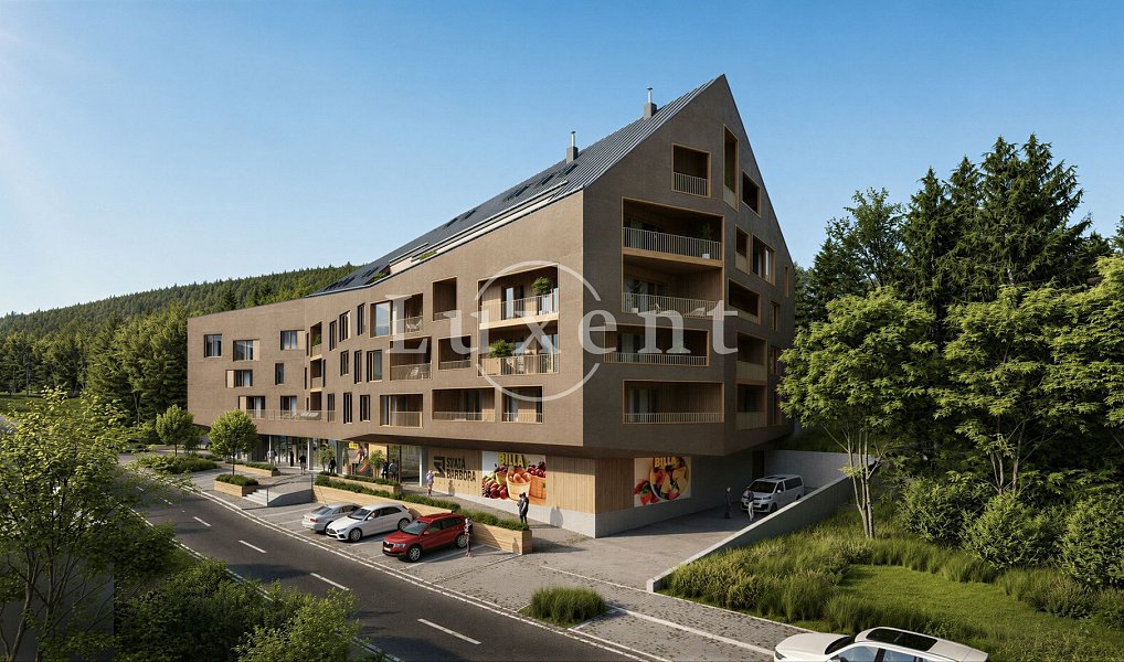 Prodej bytu 3+kk 112 m², Železná Ruda – náhled fotky 4