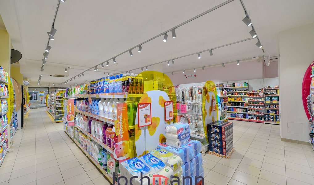 Pronájem obchodních prostor 340 m², České Budějovice – náhled fotky 7