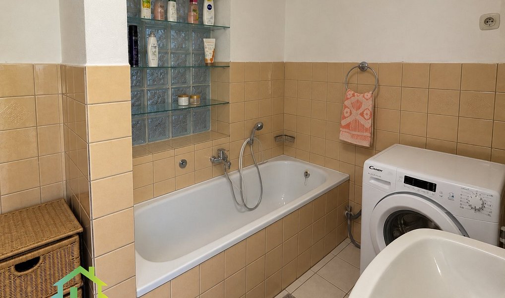 Prodej domu 260 m² s pozemkem 4 314 m², Člunek – náhled fotky 11