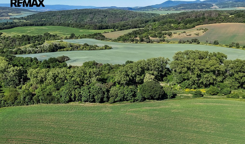 Prodej lesa 5 841 m², Skršín – náhled fotky 20